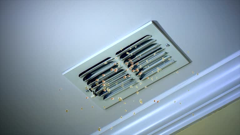 Best Air Duct Cleaning Cost  in Sarasota Springs, FL
